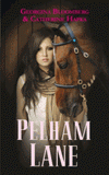 Pelham Lane