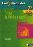 Fichier de mathématiques 1e Bac pro 3 ans. Groupement C