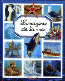 L'imagerie de la mer