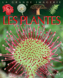 Les plantes