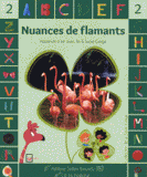 Nuances de flamants