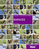 Rapaces