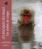 Les macaques des neiges. Ces drôles de singes