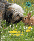 Les animaux familiers