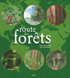 La route des forêts