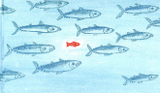 Petit poisson voit du pays