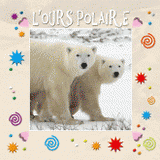 L'ours polaire