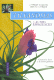 Tillandsias et autres bromeliacées. Comment les choisir et les cultiver facilement