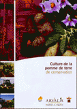 Culture de la pomme de terre de conservation