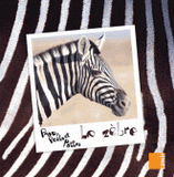 Peau, poils et pattes
Le zèbre