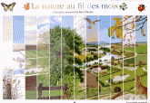 La nature au fil des mois. Calendrier perpétuel