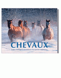 Chevaux. Grâce, intelligence et noblesse d'un animal majestueux