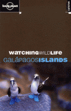 Watching wildlife. Galapagos Islands