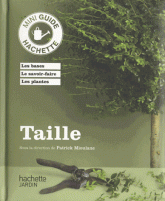 Taille
