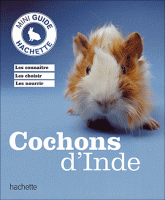 Cochons d'Inde