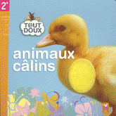 Animaux câlins