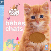 Bébés chats