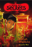 La maison des secrets Tome 3
L'espion surprise