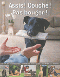 Assis ! Couché ! Pas bouger !