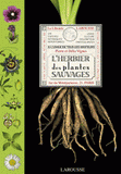 L'herbier des plantes sauvages