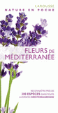 Fleurs de méditerranée