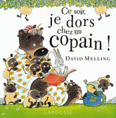 Ce soir, je dors chez un copain !