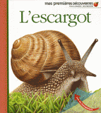 L'escargot