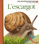 L'escargot