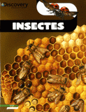 Insectes