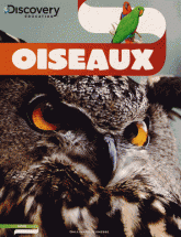 Oiseaux