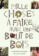 Mille choses à faire avec un bout de bois