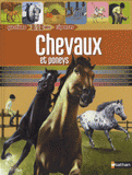 Chevaux et poneys