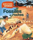 Fossiles et roches