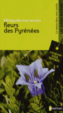 Fleurs des Pyrénées