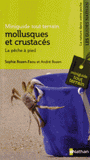 Mollusques et crustacés. La pêche à pied