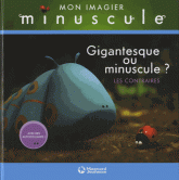 Gigantesque ou minuscule ?. Les contraires