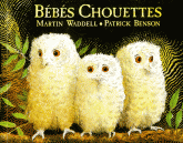 Bébés chouettes