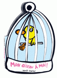 Mon oiseau à moi !