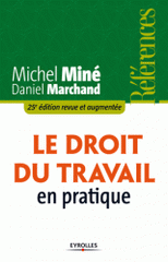 Le droit du travail en pratique
25e édition