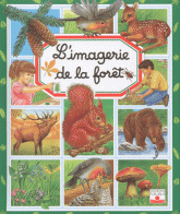 L'imagerie de la forêt
