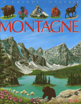 La montagne