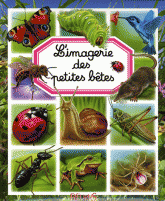 L'imagerie des petites bêtes