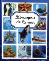 L'imagerie de la mer