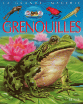Les grenouilles