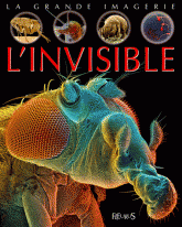 L'invisible