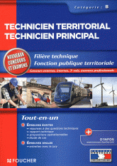 Technicien territorial technicien principal, Fonction publique territoriale, Catégorie B