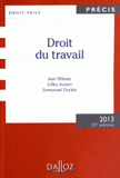 Droit du travail 2013
27e édition