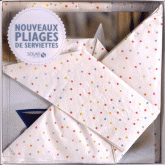 Coffret Nouveaux pliages de serviettes