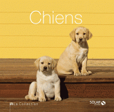 Chiens