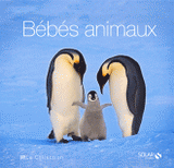 Bébés animaux